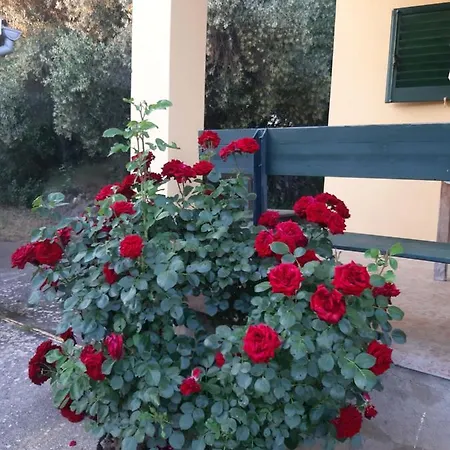 Maria With Swimming Pool Hotel 3*