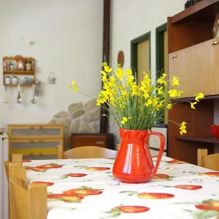 Hotel Maria With Swimming Pool